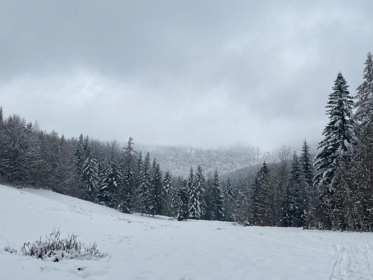 Villa Sielsko Anielsko Stryszawa Esterno foto